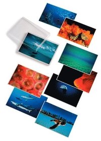 Water Light Time Postcards (inbunden)