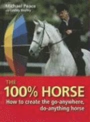 The 100% Horse (kartonnage)