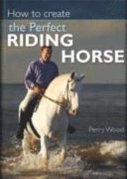How To Create The Perfect Riding Horse (inbunden)