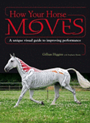 How Your Horse Moves (inbunden)