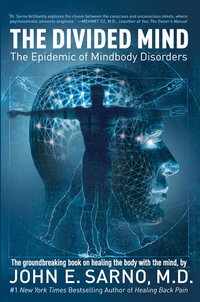 The Divided Mind (h�ftad)