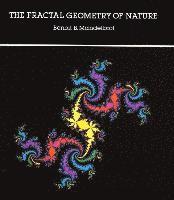 The Fractal Geometry of Nature (h�ftad)