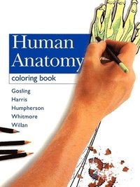 Human Anatomy Coloring Book (h�ftad)