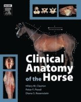 Clinical Anatomy of the Horse (inbunden)