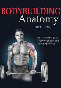 Bodybuilding Anatomy