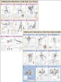 Strength Training Anatomy Charts (h�ftad)