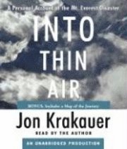 Into Thin Air (h�ftad)