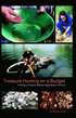 Treasure Hunting On A Budget
