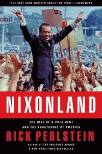 Nixonland (h�ftad)