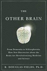 The Other Brain: From Dementia to Schizophrenia, How New Discoveries about the Brain Are Revolutionizing Medicine and Science (inbunden)