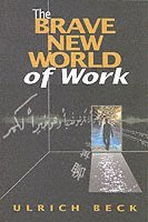 The Brave New World of Work (h�ftad)