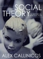 Social Theory (h�ftad)