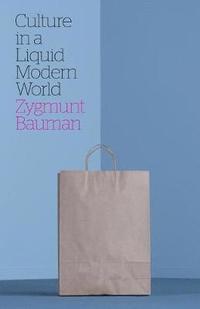 Culture in a Liquid Modern World (h�ftad)