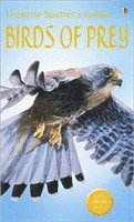 Birds of Prey (h�ftad)