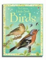 Little Book Of Birds (inbunden)