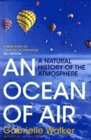 An Ocean of Air (h�ftad)