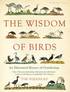 The Wisdom of Birds