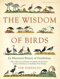 The Wisdom of Birds (h�ftad)