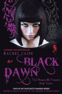 Black Dawn (h�ftad)