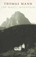 The Magic Mountain (h�ftad)