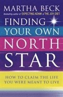 Finding Your Own North Star (h�ftad)