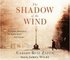 The Shadow of the Wind