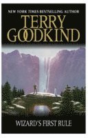 Wizard's First Rule (h�ftad)