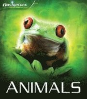 Animals (h�ftad)