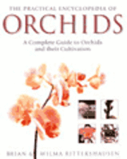 Practical Encyclopedia Of Orchids