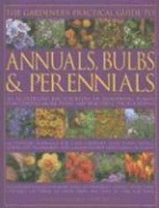 Gardener's Practical Guide To Annuals, Bulbs And Perennials