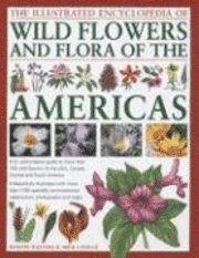 The Illustrated Encyclopedia of Wild Flowers and Flora of the Americas (h�ftad)