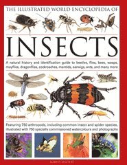 The Illustrated World Encyclopaedia of Insects (h�ftad)