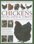 The Practical Guide to Keeping Chickens, Ducks, Geese &; Turkeys