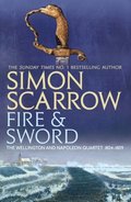 Fire and Sword (Wellington and Napoleon 3)