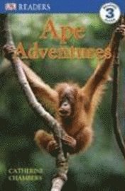 Ape Adventures (h�ftad)