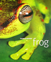 Frog (inbunden)