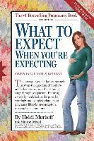 What To Expect When You'Re Expecting (h�ftad)