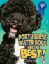 Portuguese Water Dogs Are the Best!