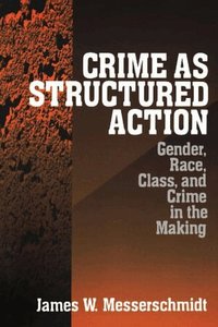 Crime as Structured Action (h�ftad)