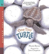 One Tiny Turtle (h�ftad)