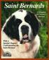 Saint Bernards - Everything about Purchase, Care, Nutrition, Breeding, Behavior and Training
