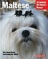 Maltese - Everything About Purchase, Care, Nutrition, Behavior, And Training