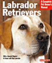 Labrador Retrievers (h�ftad)