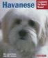 Havanese - Everything About Purchase, Care, Nutrition, Behavior, And Training