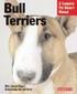 Bull Terriers - Everything About Purchase, Care, Nutrition, Behavior, and Training