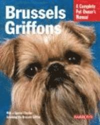 Brussels Griffons (h�ftad)