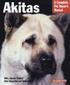 Akitas - Everything About Health, Behavior, Feeding, and Care