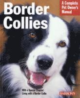 Border Collies (h�ftad)