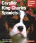 Cavalier King Charles Spaniels - Everything About Purchase, Care, Nutritioin, Behavior, and Training