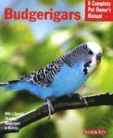 Budgerigars (h�ftad)